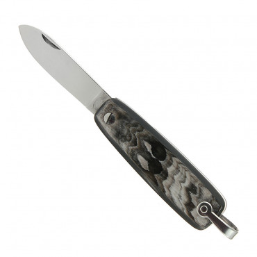 Penknife 8 cm Grey horn - Mongin