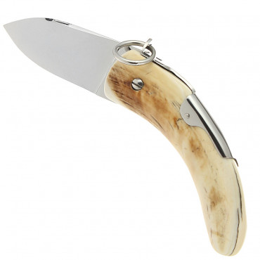 Folder Cornillon 12cm Warthog Handle - Mongin