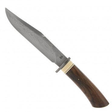 Hunter Damascus - Sire