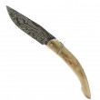 Piemontais Damascus Stag - Moing