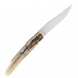 Folder 10cm Stag Handle - Mongin