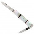 Folder 2 Pcs Pearl - Thiers