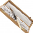 Laguiole 12 cm "Cléopatre" Mammuth Molar - Philippe Voissière
