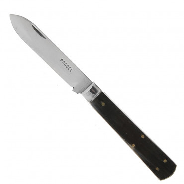Pradel ancien - Pradel
