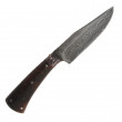 Fixed Damascus Ironwood - Pierre-Henri Monnet