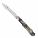 Small Pradel