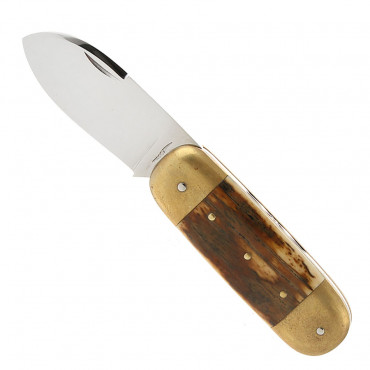 Bouledogue Mammouth - La Roche du Feu