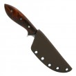 Apprenti Neck Knife Murray Carter