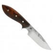 Apprentice Neck Knife Murray Carter