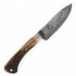 Patch Forged Fixed Blade Stag - P.H. Monnet
