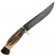 Fixed Damascus Stag - Vally
