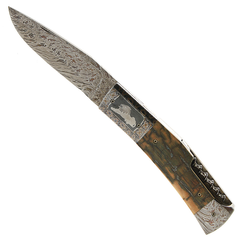 Damas Folder Lion - Jukka Hankala